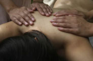 Courses: Panchakarma Massage