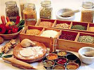 Medicines: Ayurveda School