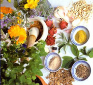 Ayurvedic Medicinal Herbs